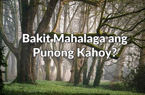 Bakit mahalaga ang pagtatanim ng mga puno at punong .